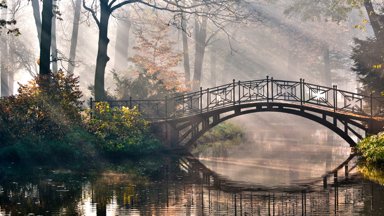 Обои мост, дерево, природа, отражение, вода в разрешении 1280x720
