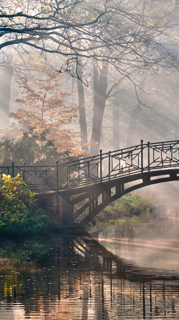Обои мост, дерево, природа, отражение, вода в разрешении 750x1334