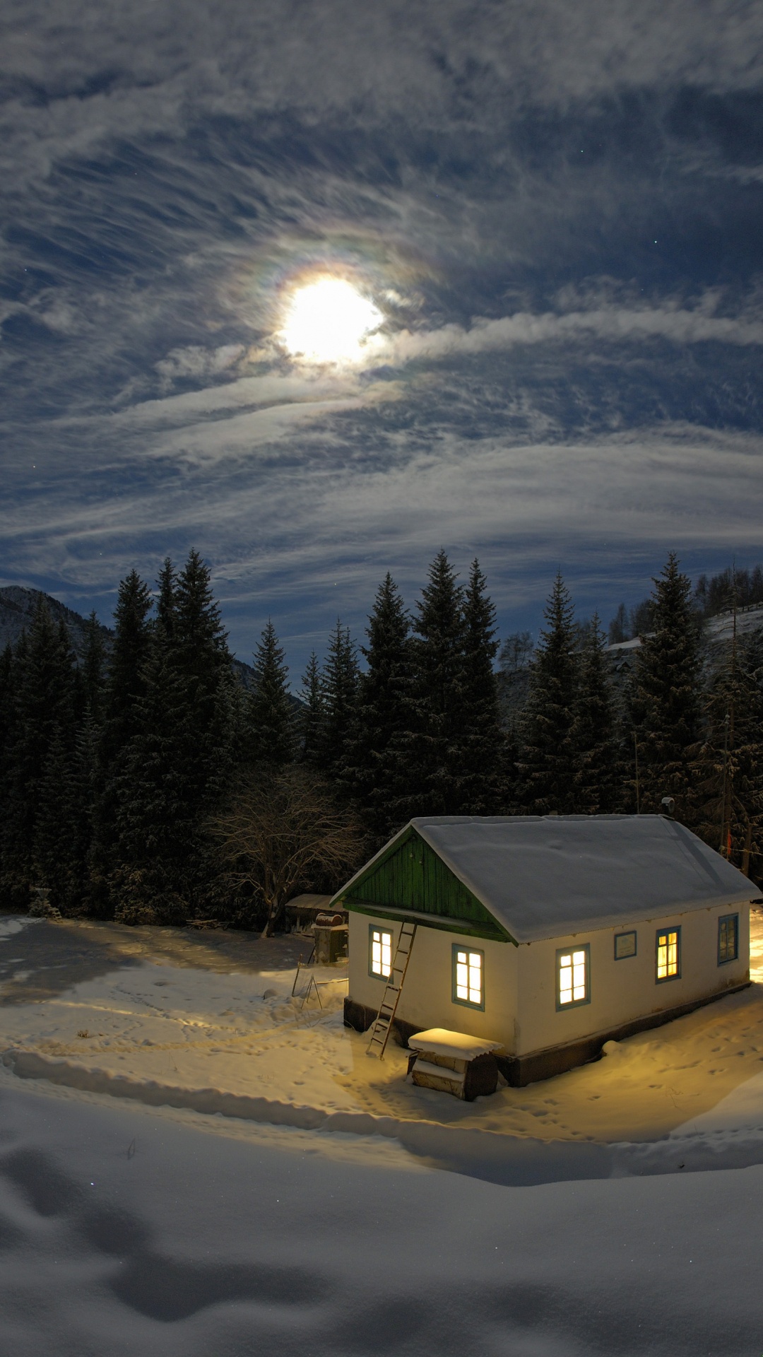 Обои снег, зима, ночь, лунный свет, замораживание в разрешении 1080x1920