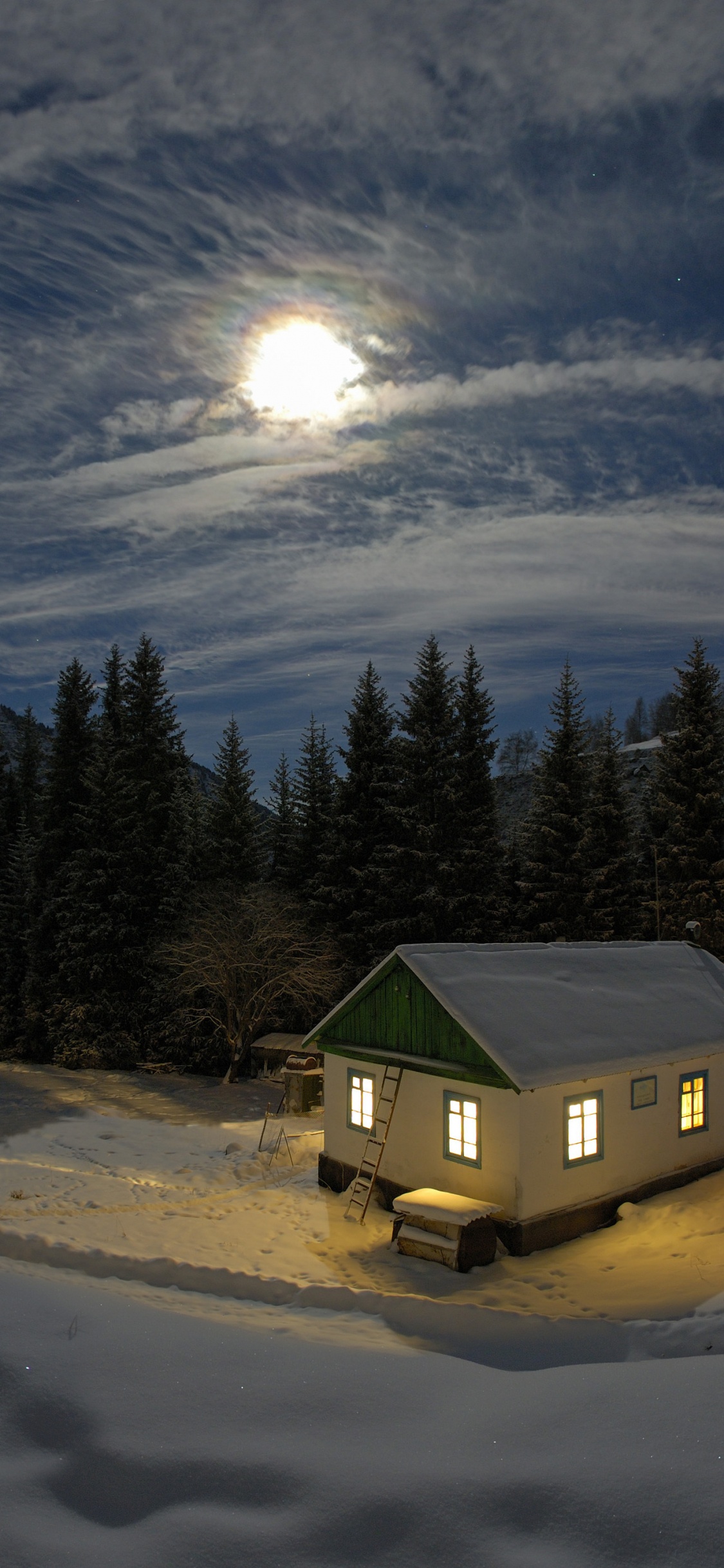 Обои снег, зима, ночь, лунный свет, замораживание в разрешении 1125x2436