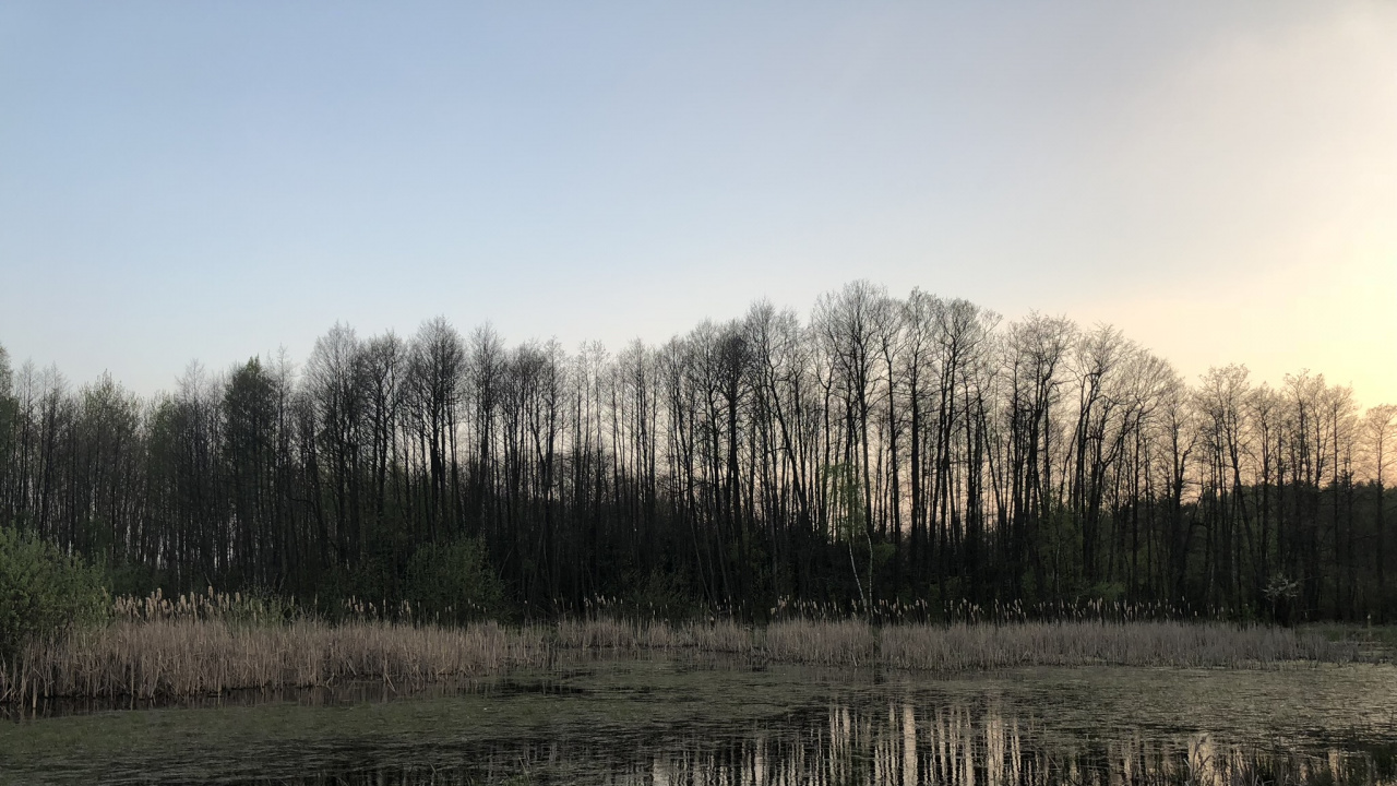 Обои вода, природа, природный ландшафт, окружающая среда, отражение в разрешении 1280x720