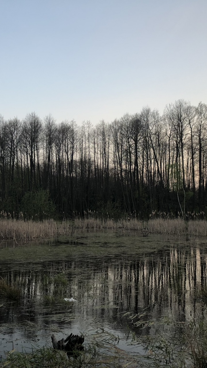 Обои вода, природа, природный ландшафт, окружающая среда, отражение в разрешении 720x1280