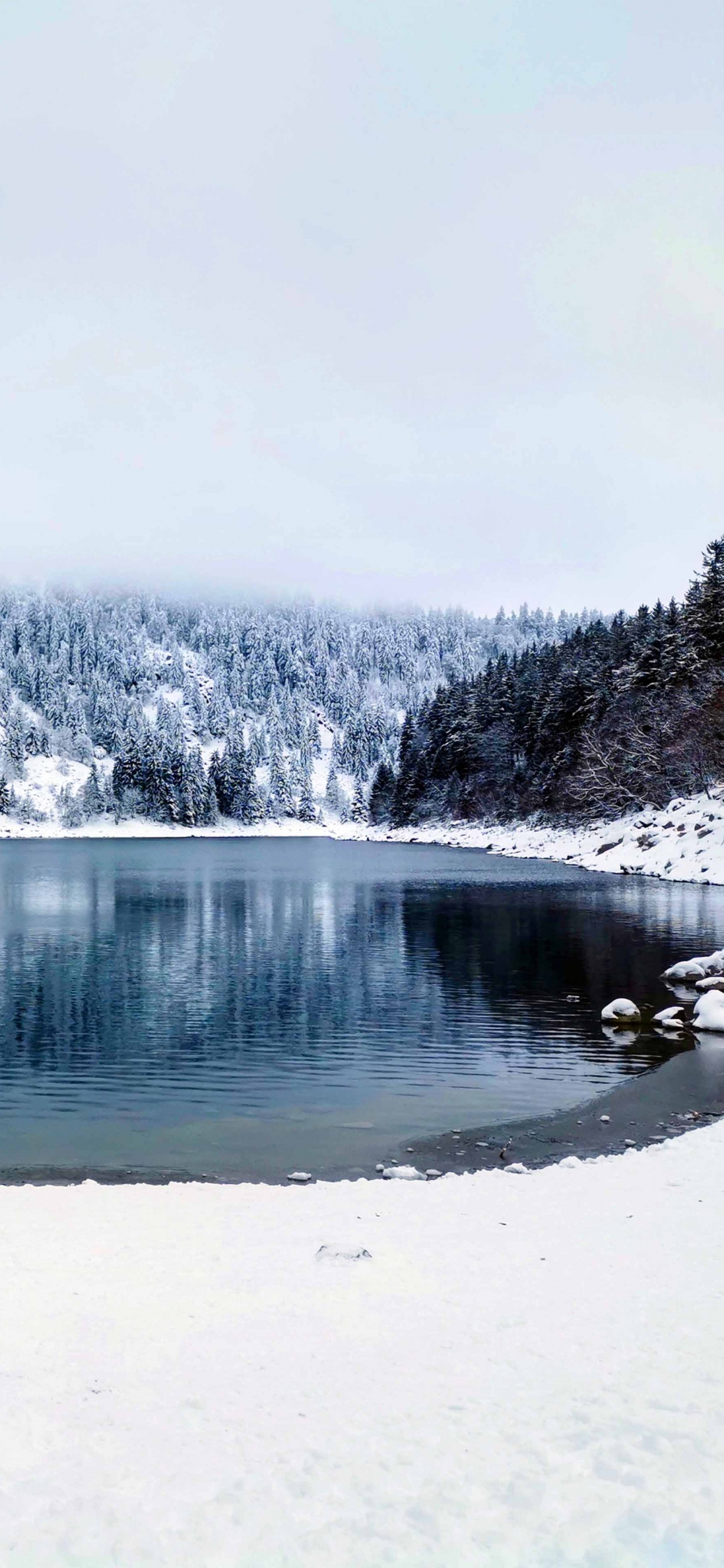 Обои зима, висгун - социальная сеть, вода, снег, природный ландшафт в разрешении 1242x2688