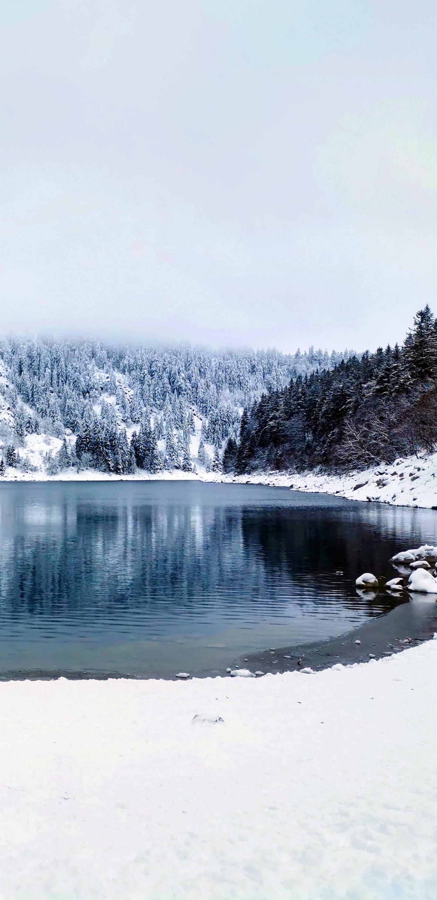 Обои зима, висгун - социальная сеть, вода, снег, природный ландшафт в разрешении 1440x2960