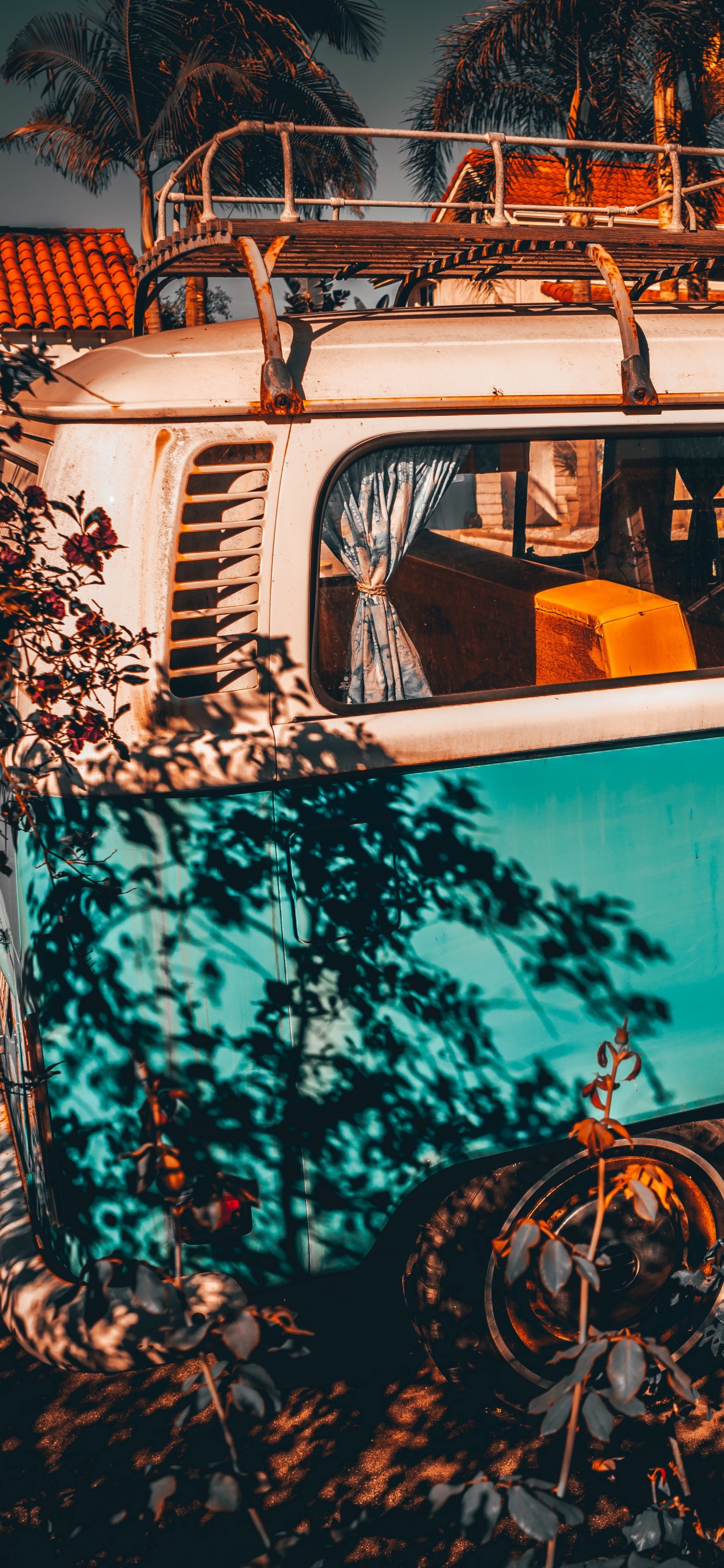 Обои автобус, транспорт, отражение, дерево, красочность в разрешении 1242x2688