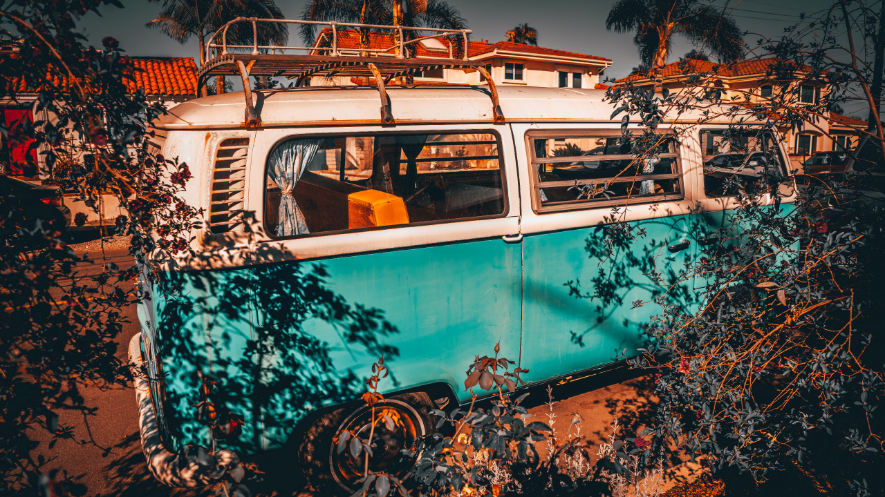 Обои автобус, транспорт, отражение, дерево, красочность в разрешении 1280x720