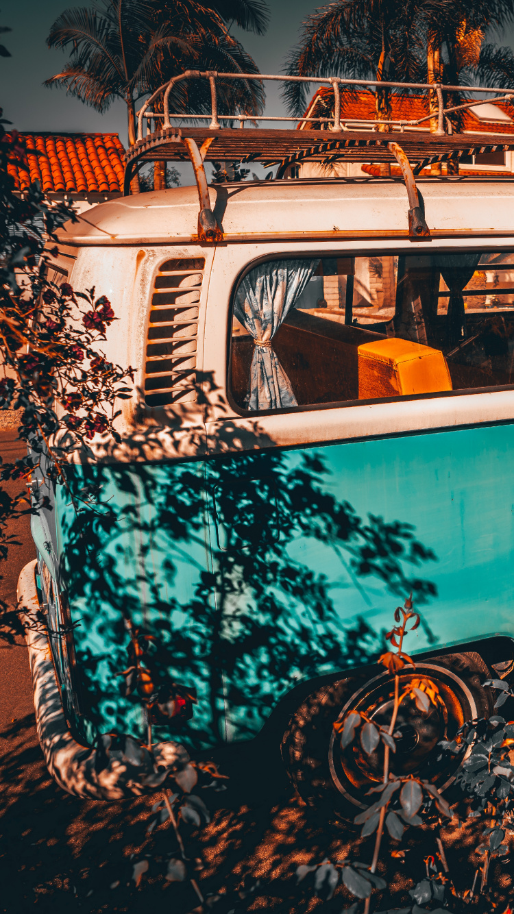 Обои автобус, транспорт, отражение, дерево, красочность в разрешении 750x1334