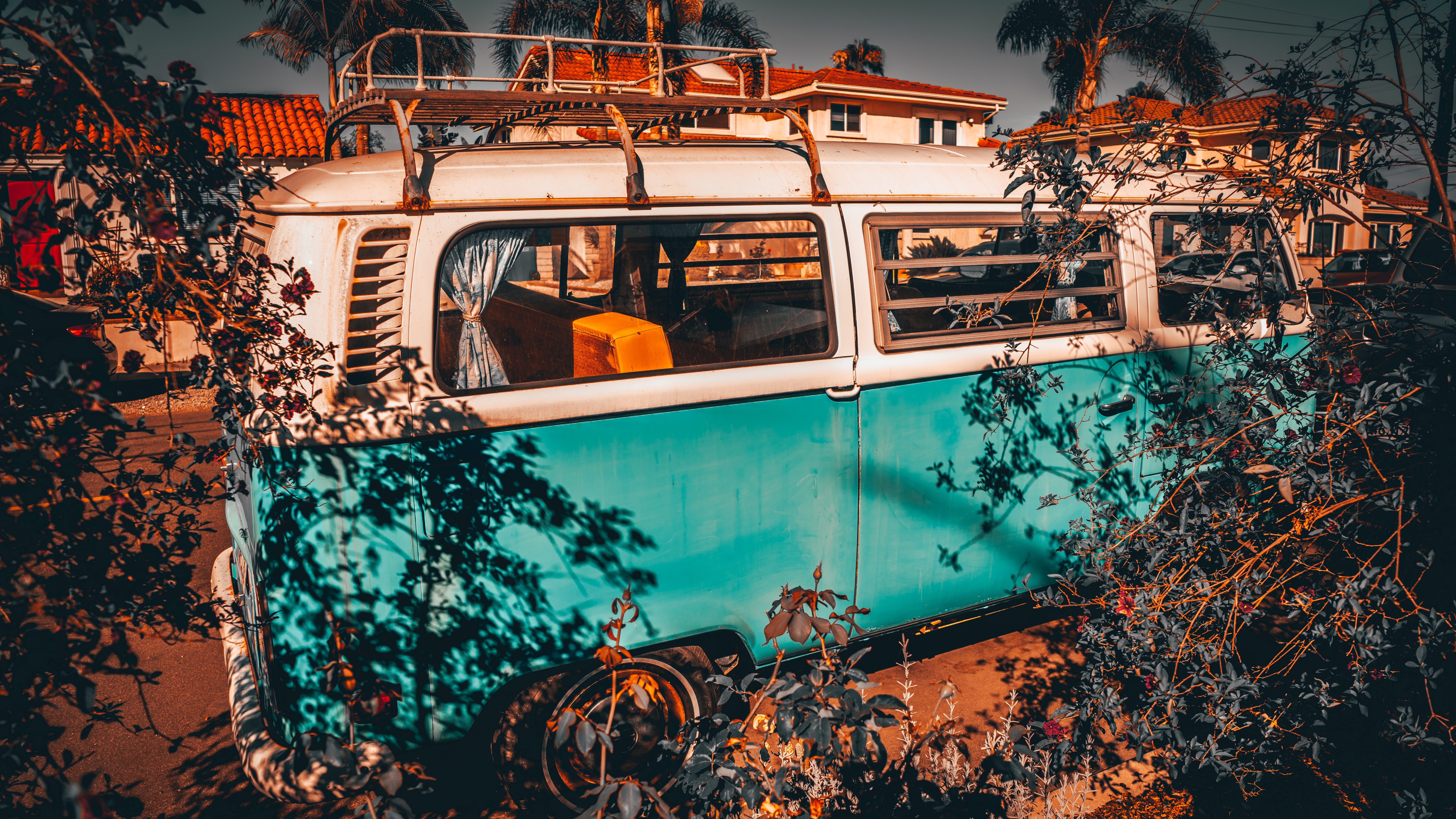 Обои автобус, транспорт, отражение, дерево, красочность в разрешении 7680x4320