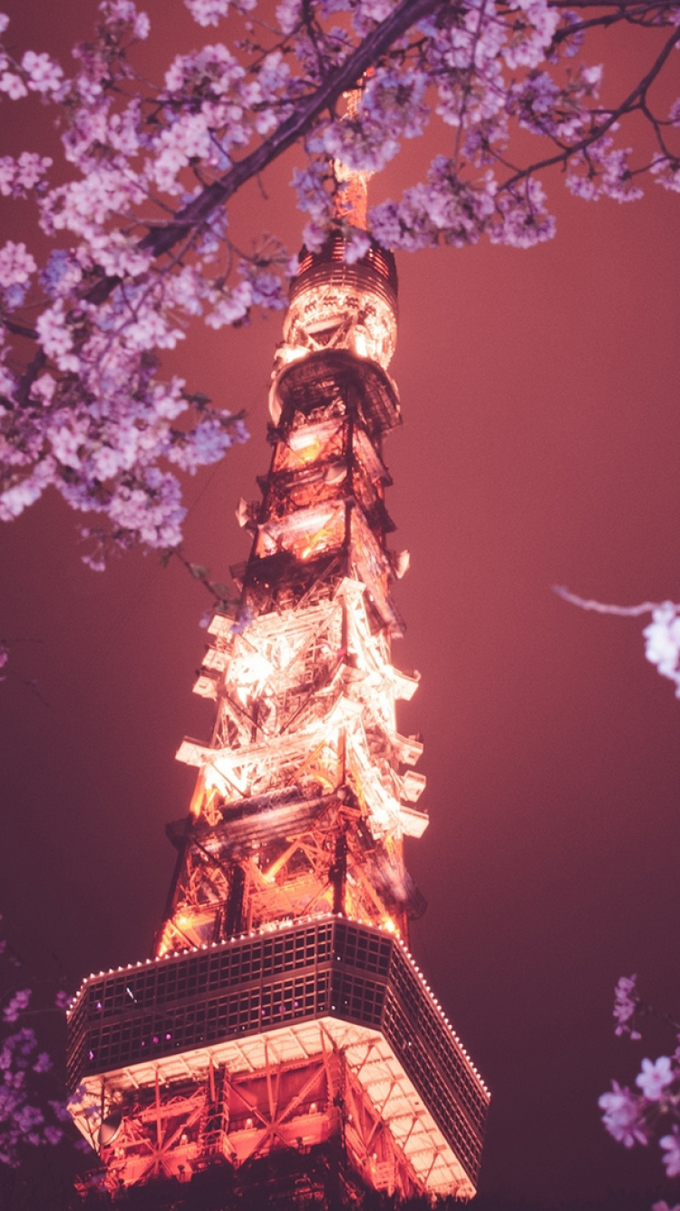 Обои токийская башня, цветение вишни, вышка, Ханами, пурпур в разрешении 750x1334