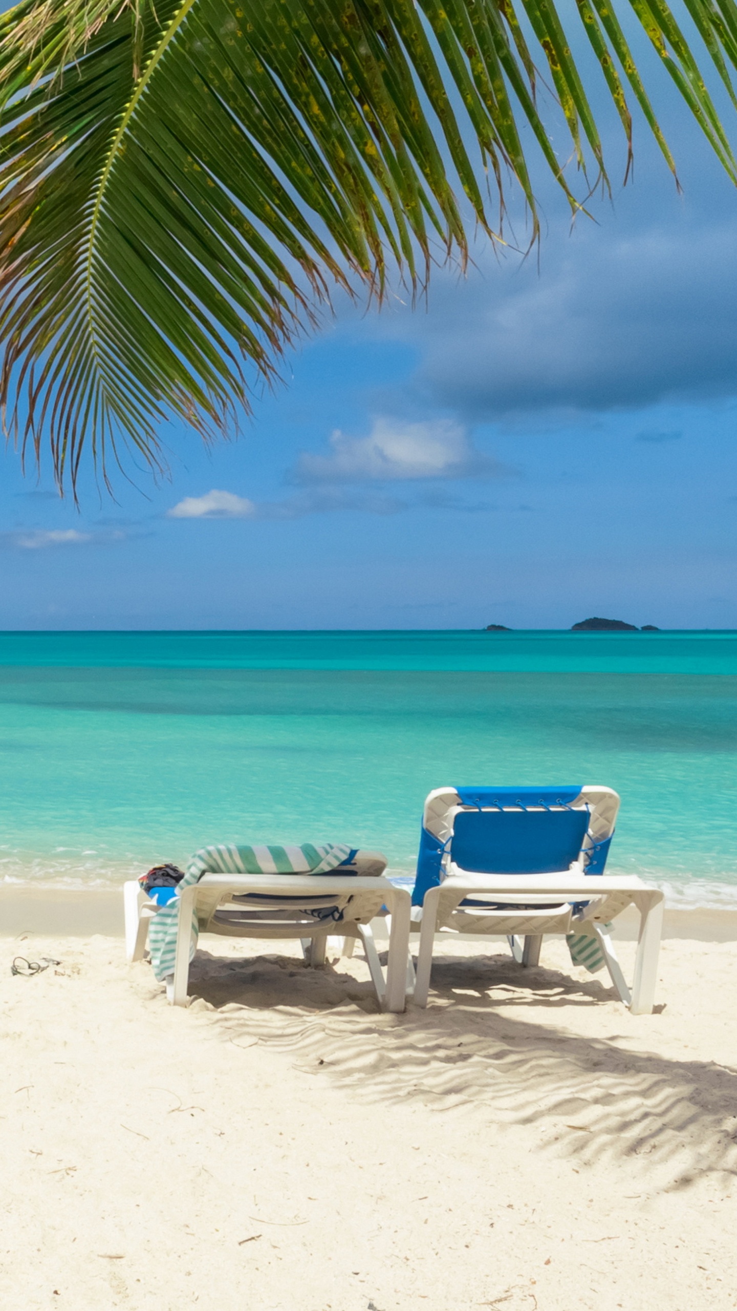 Обои пляж, тропическая зона, отпуск, Пальма, Карибский бассейн в разрешении 1440x2560