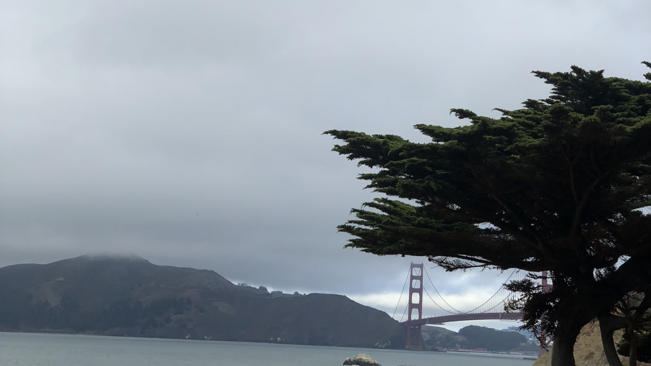 Обои море, вода, побережье, пляж, берег в разрешении 1280x720