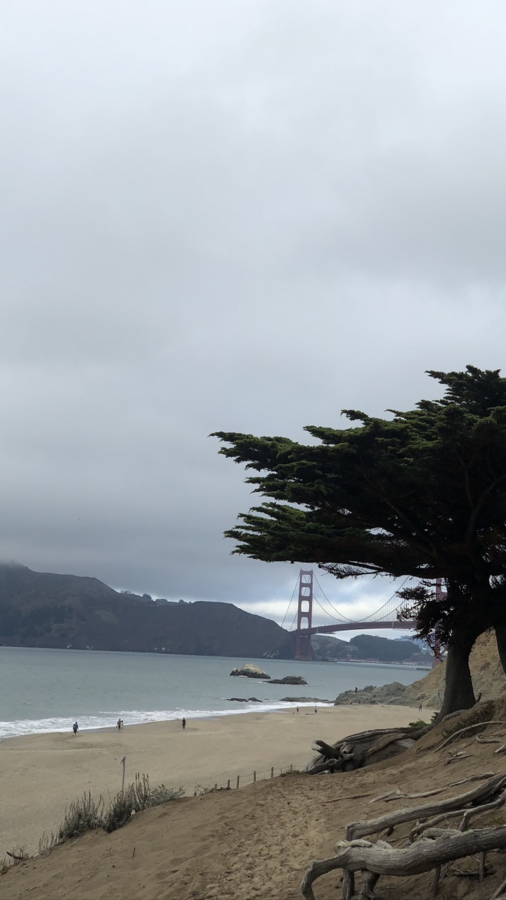 Обои море, вода, побережье, пляж, берег в разрешении 720x1280