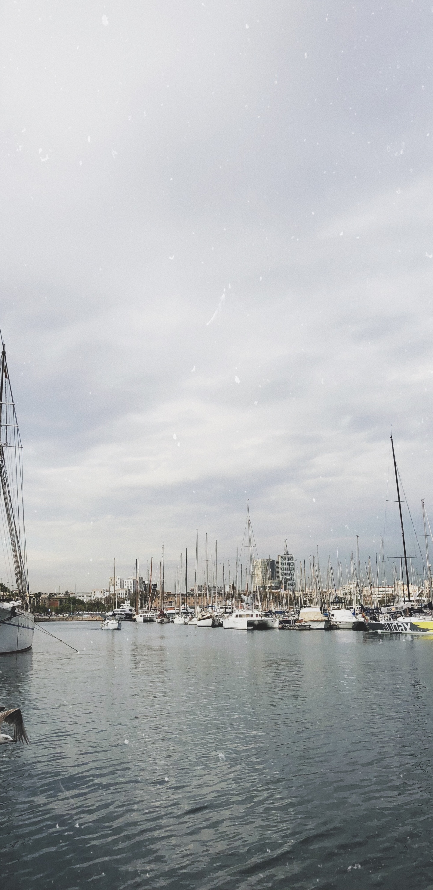 Обои Марина, мачта, лодка, парусная шлюпка, вода в разрешении 1440x2960