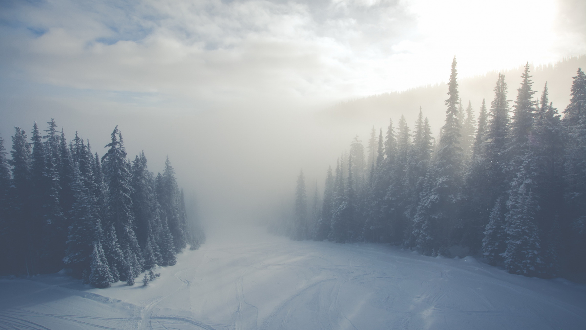 Обои дымка, лес, снег, дерево, зима в разрешении 1920x1080