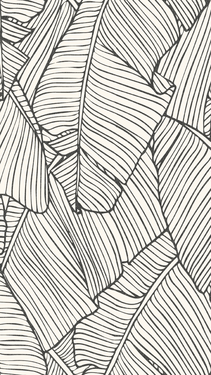 Обои лист, линия, узор, монохромный, дизайн в разрешении 720x1280