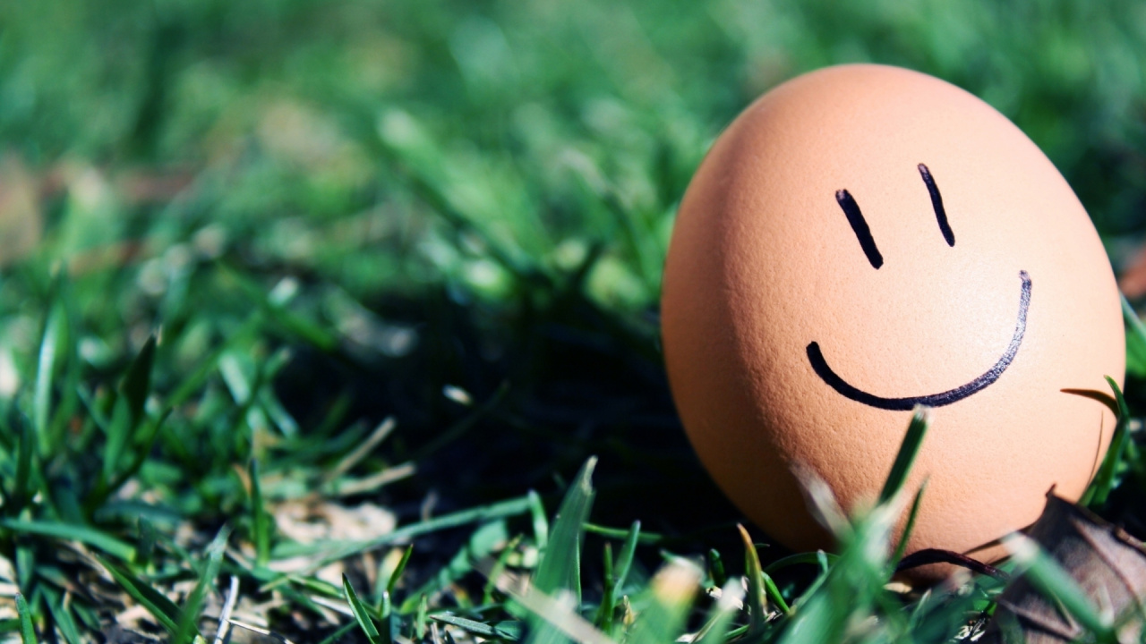 Обои эмоция, яйцо, счастья, макросъемка, Меченый в разрешении 1280x720