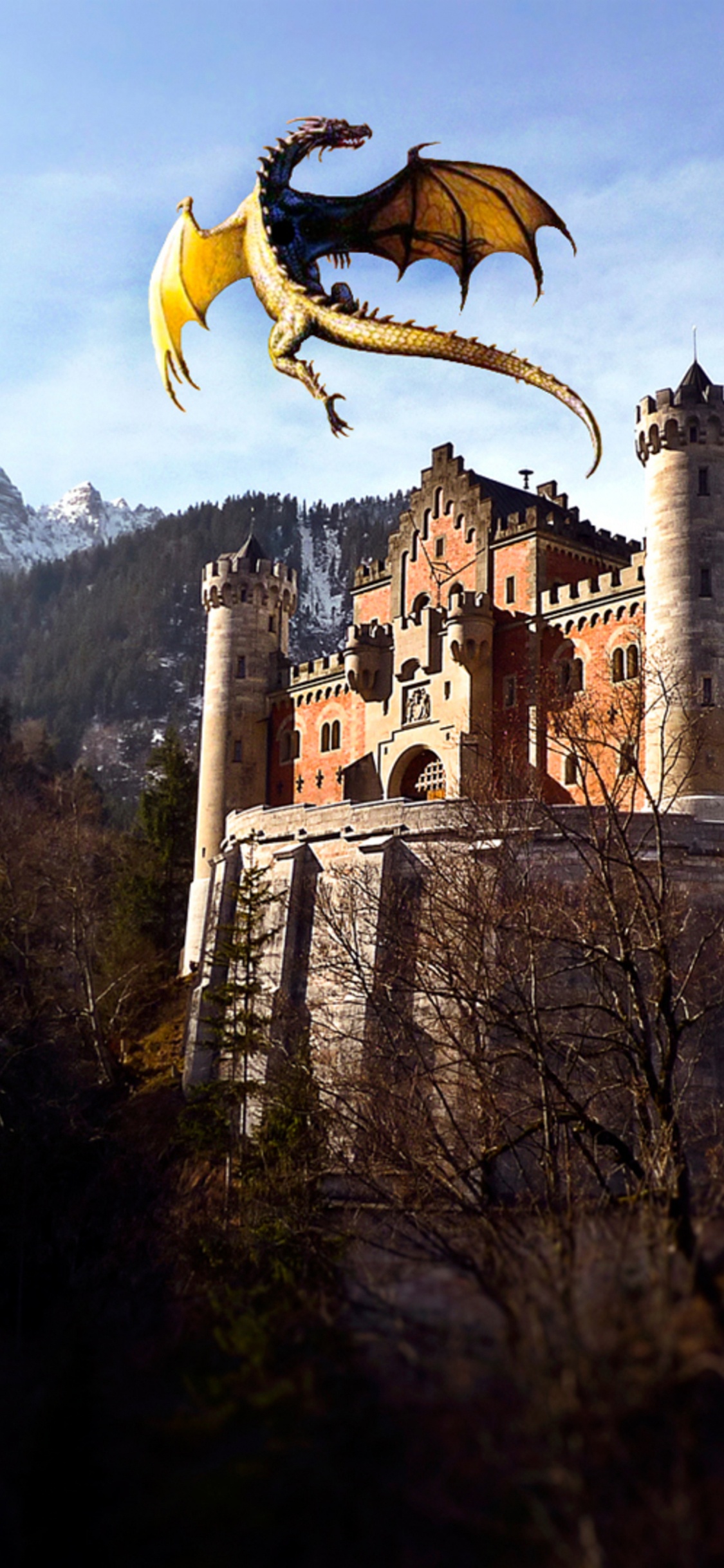 Обои замок Нойшванштайн, замок, здание, фортификация, история в разрешении 1125x2436