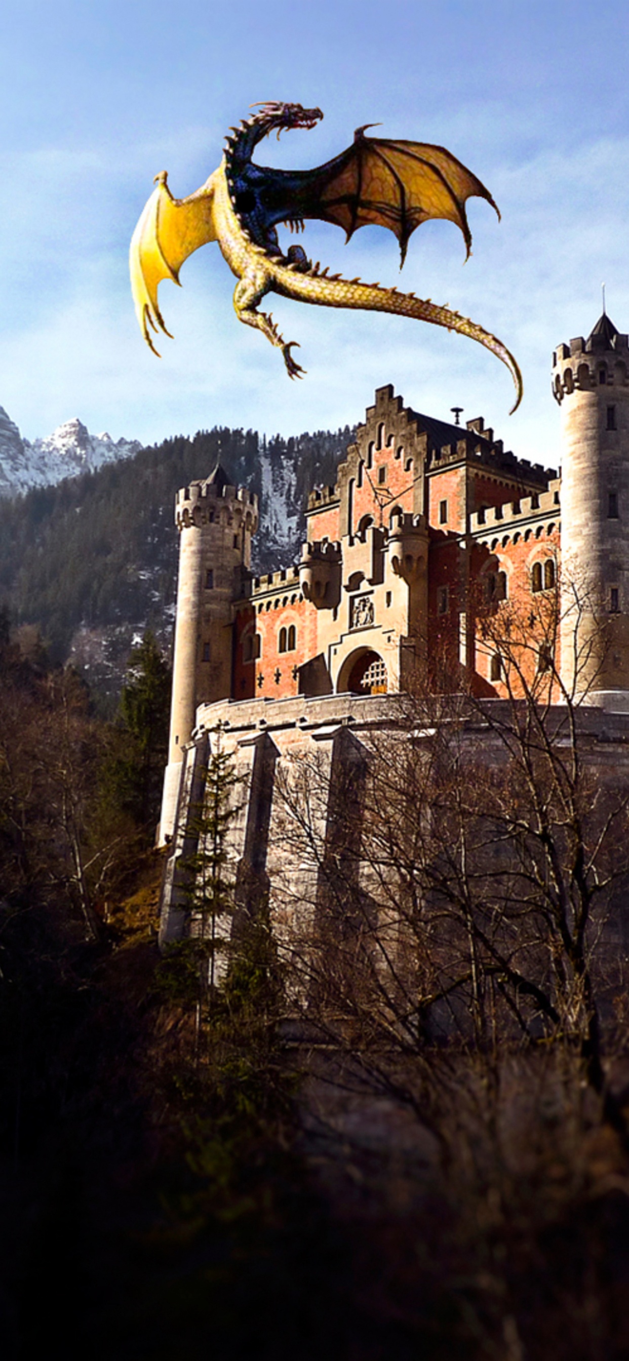 Обои замок Нойшванштайн, замок, здание, фортификация, история в разрешении 1242x2688