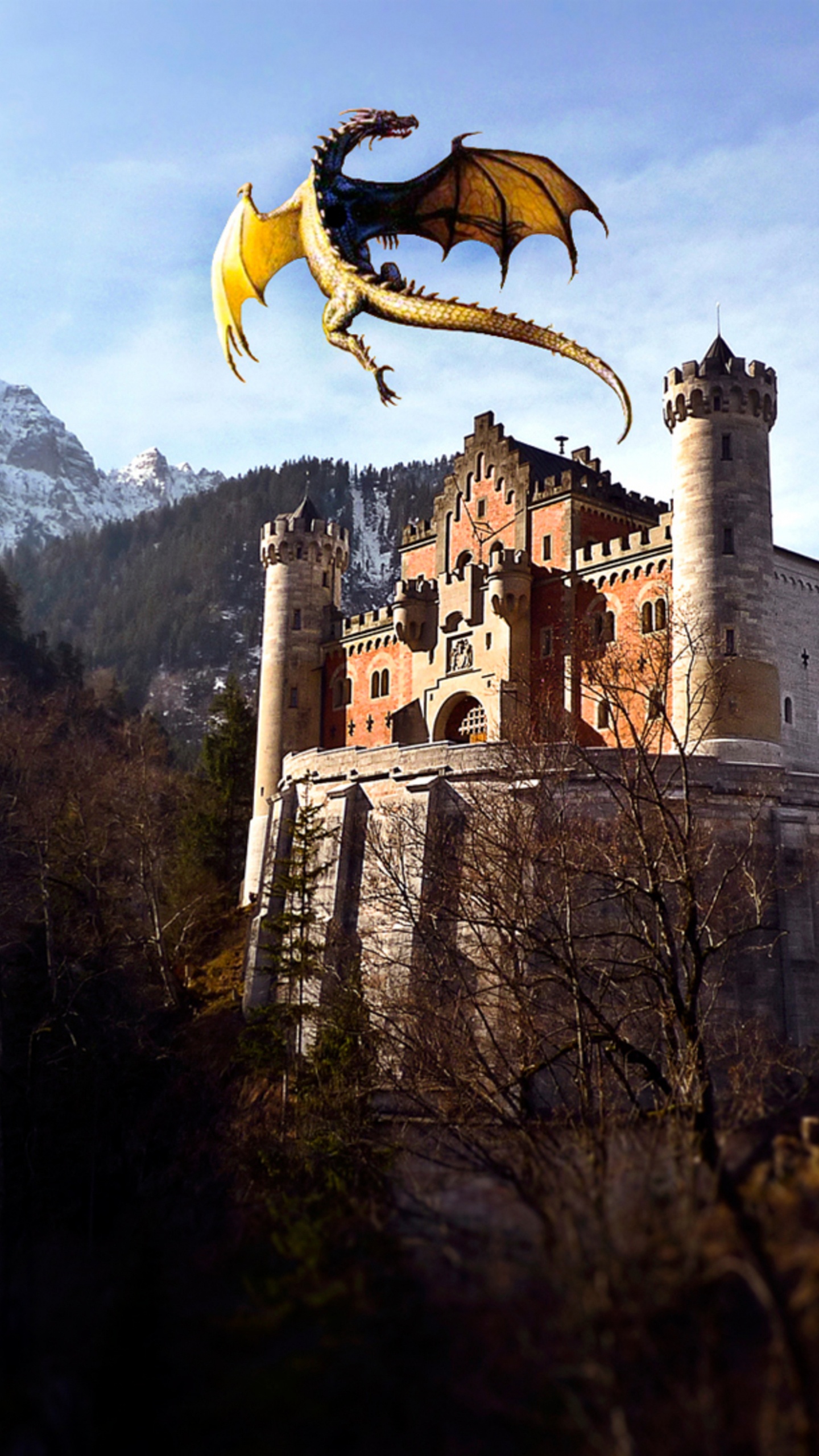 Обои замок Нойшванштайн, замок, здание, фортификация, история в разрешении 1440x2560