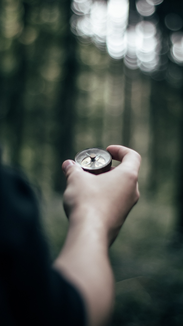 Обои палец, кожа, губа, дерево, древесина в разрешении 720x1280