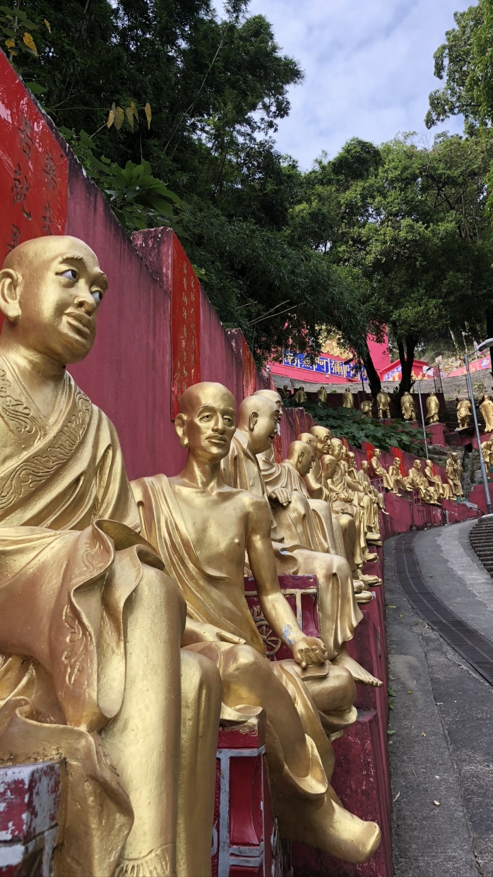 Обои статуя, Гаутама Будда, религия, голова, природа в разрешении 720x1280