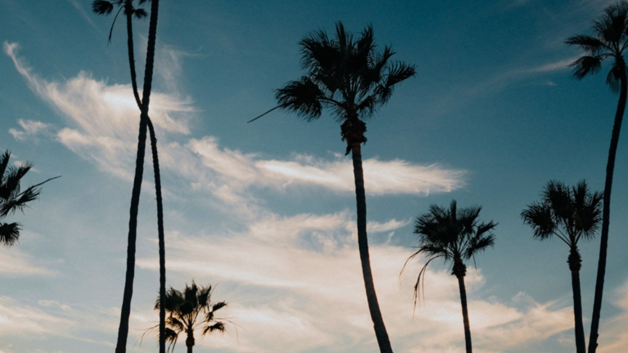 Обои роскошный агорис, Шазам, спотифай, потоковое мультимедиа, облако в разрешении 1280x720