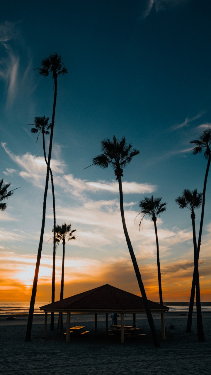 Обои роскошный агорис, Шазам, спотифай, потоковое мультимедиа, облако в разрешении 720x1280