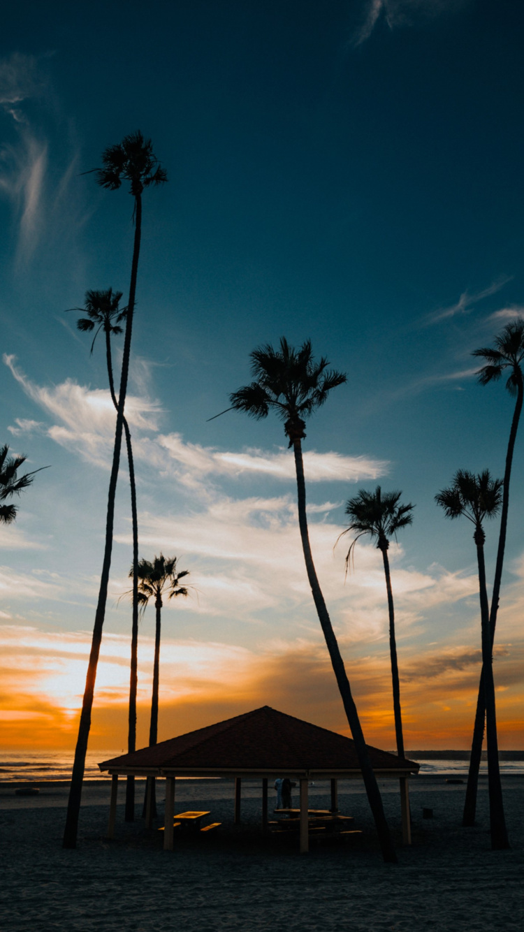 Обои роскошный агорис, Шазам, спотифай, потоковое мультимедиа, облако в разрешении 750x1334