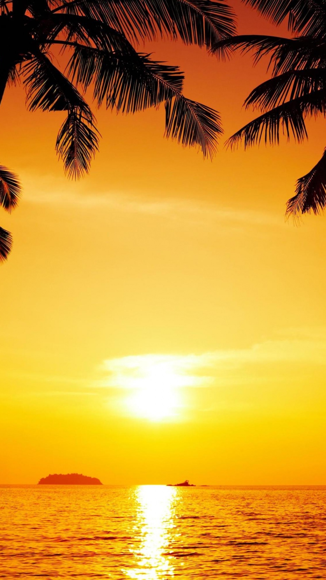 Обои закат, тропическая зона, Пальма, восход солнца, море в разрешении 1080x1920