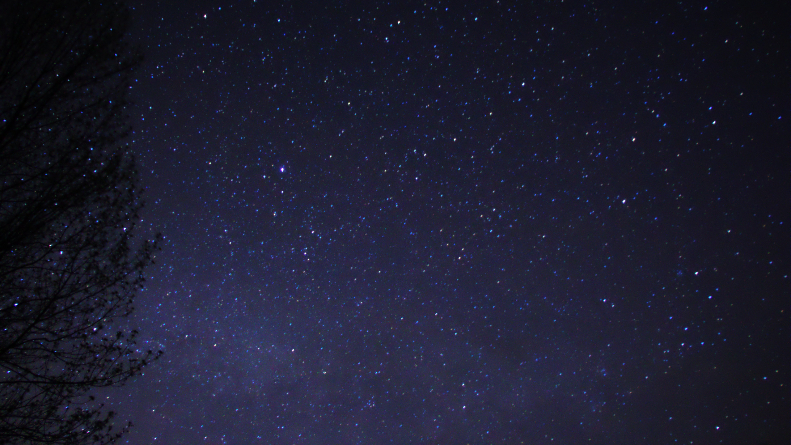 Обои ночное небо, ночь, звезда, темнота, черный в разрешении 2560x1440