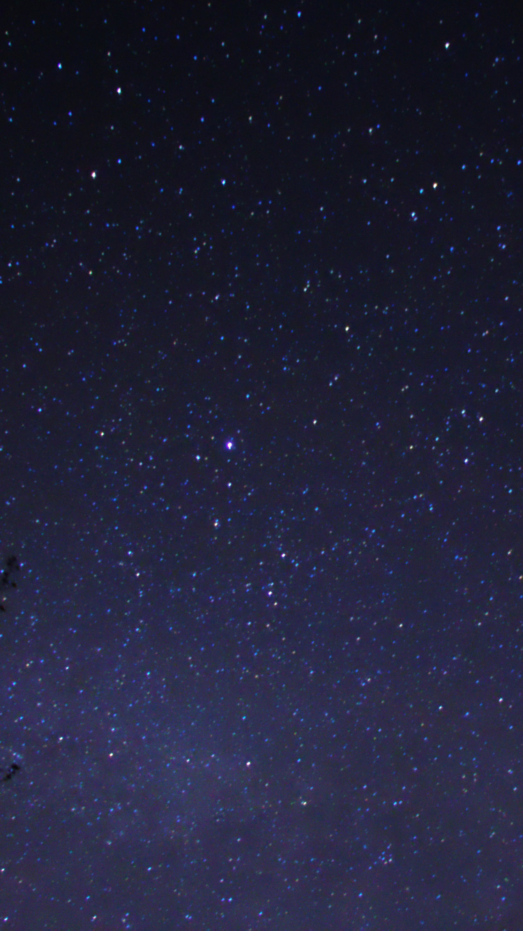 Обои ночное небо, ночь, звезда, темнота, черный в разрешении 750x1334