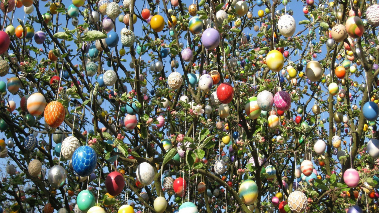 Обои пасхальное яйцо, ветка, ветвь в разрешении 1280x720