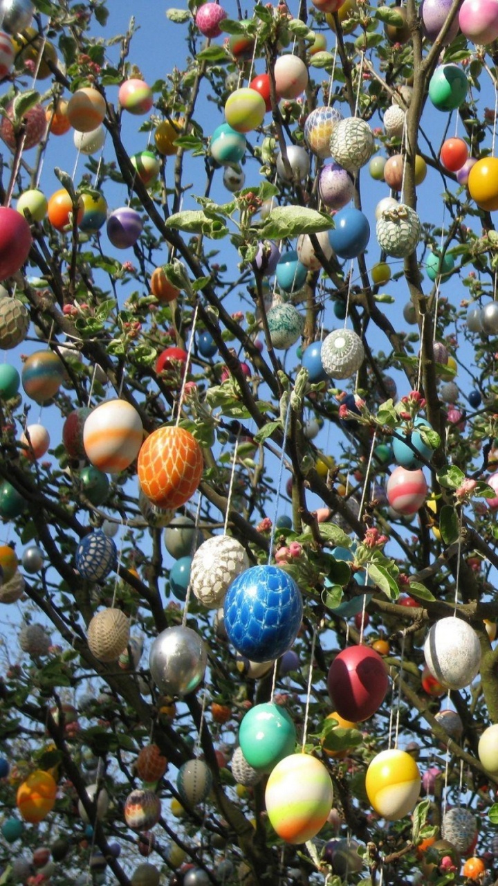 Обои пасхальное яйцо, ветка, ветвь в разрешении 720x1280