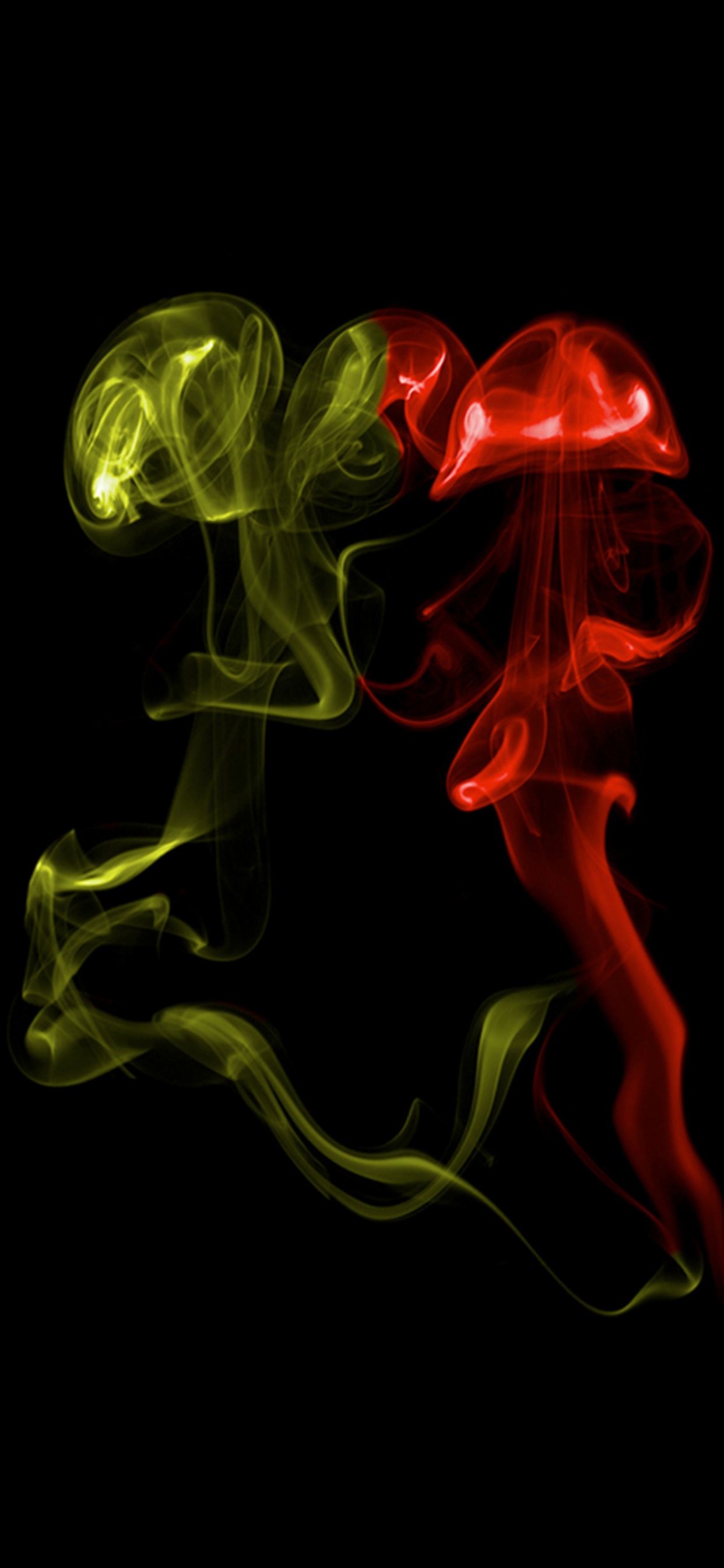 Обои растение, свет, цвет, Граффити Кирпич, графический дизайн в разрешении 1242x2688