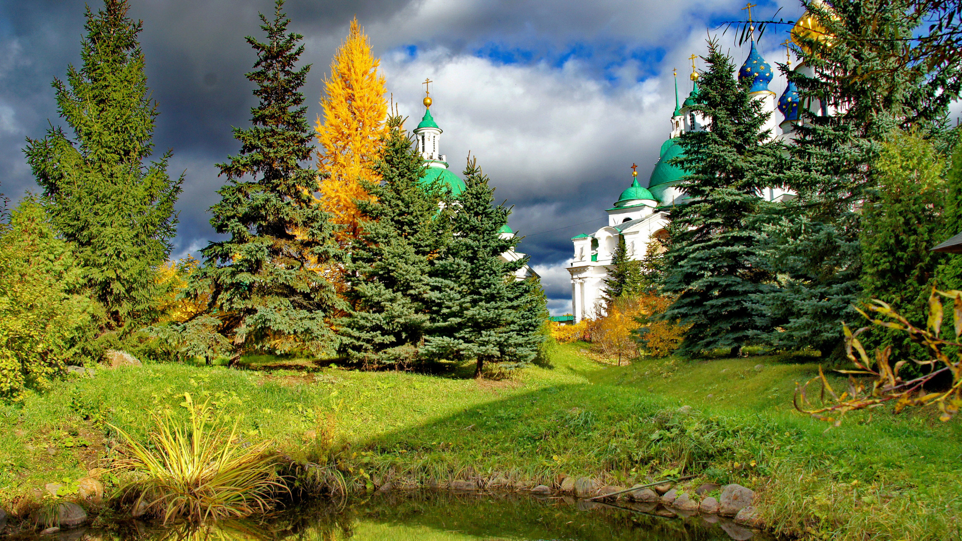 Обои природа, ель, дерево, растительность, биом в разрешении 1920x1080