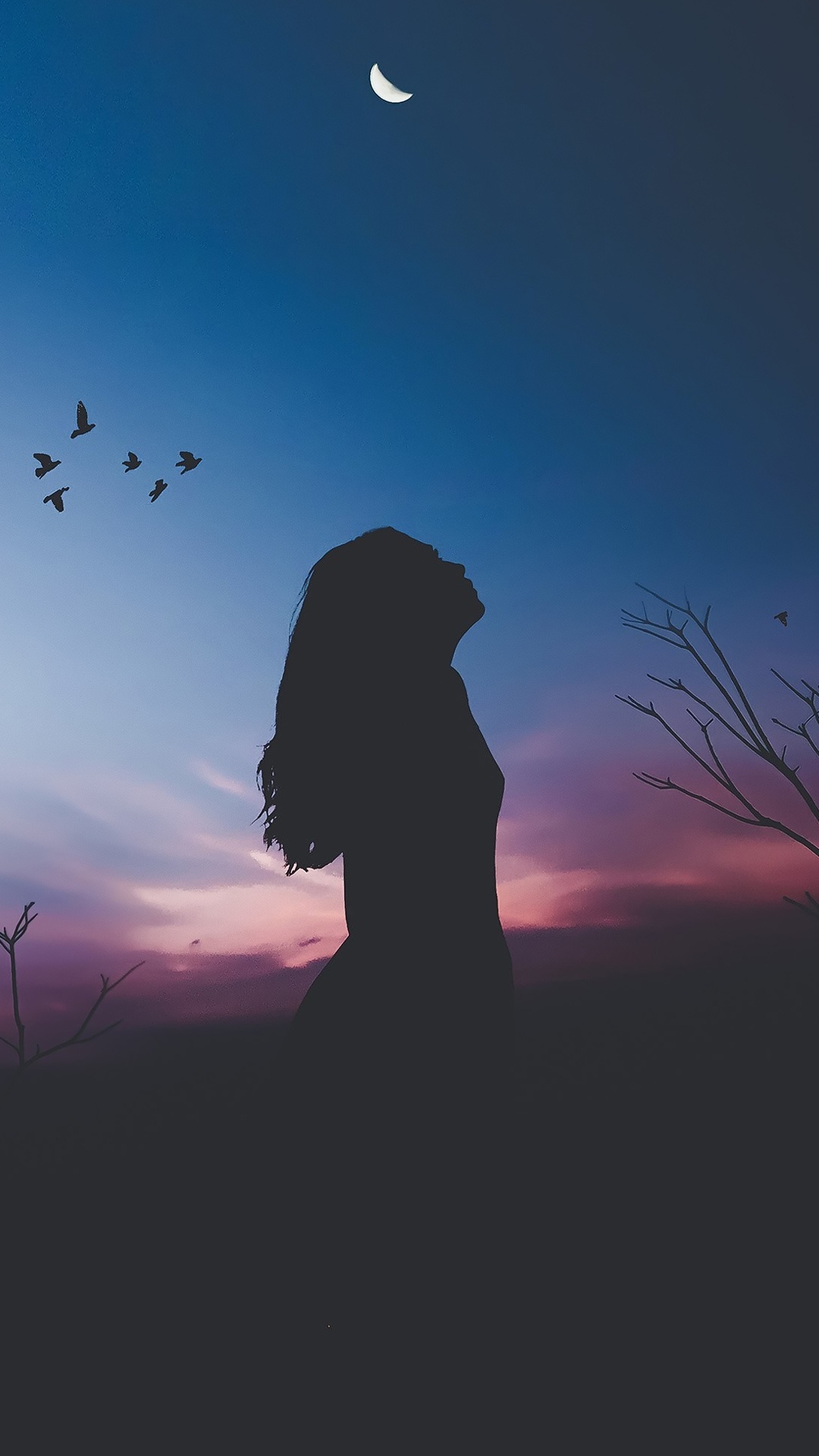 Обои атмосфера, облако, луна, лазурный, сумрак в разрешении 1080x1920