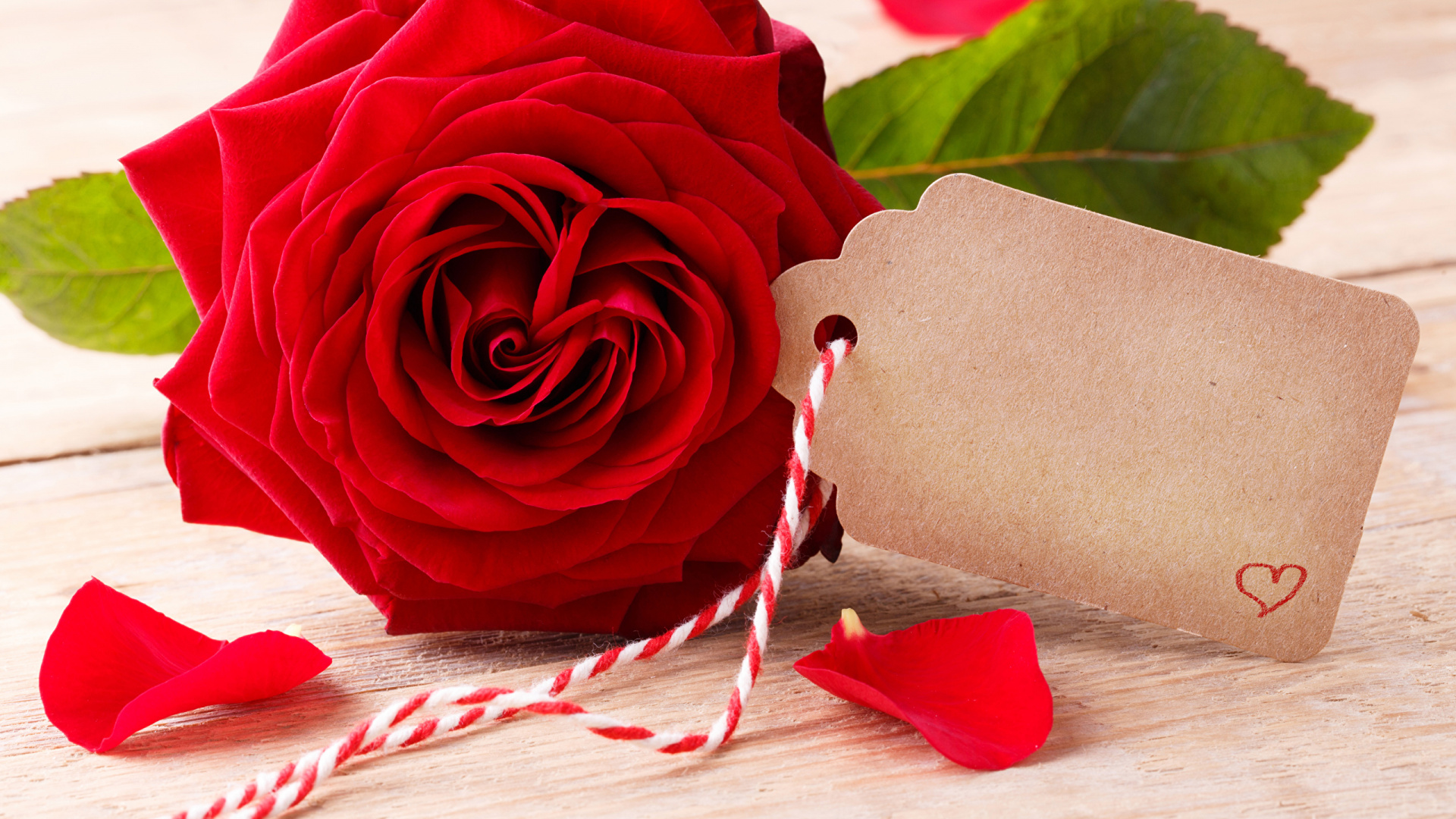 Обои День Святого Валентина, сердце, Роза, красный цвет, сад роз в разрешении 1920x1080