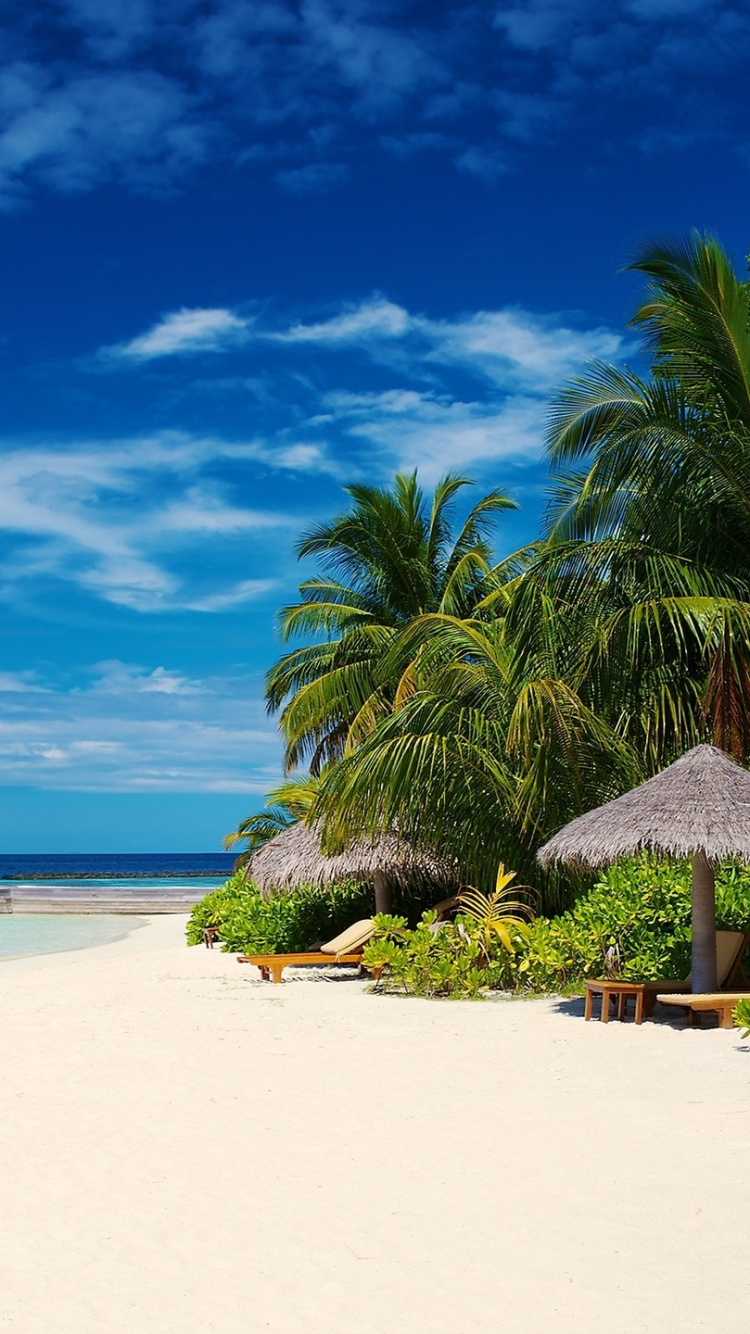 Обои пляж, водоем, тропическая зона, море, Карибский бассейн в разрешении 750x1334