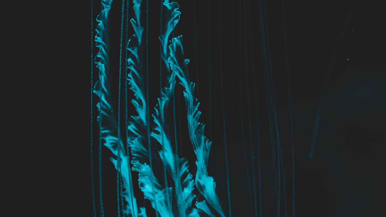 Обои Медуза, человеческое тело, жидкий, пасть, вода в разрешении 1280x720