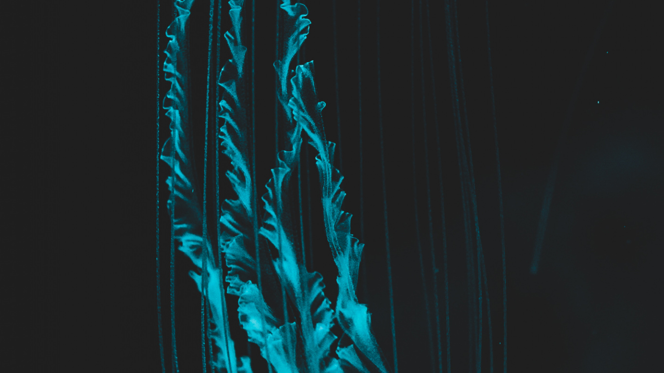 Обои Медуза, человеческое тело, жидкий, пасть, вода в разрешении 1366x768