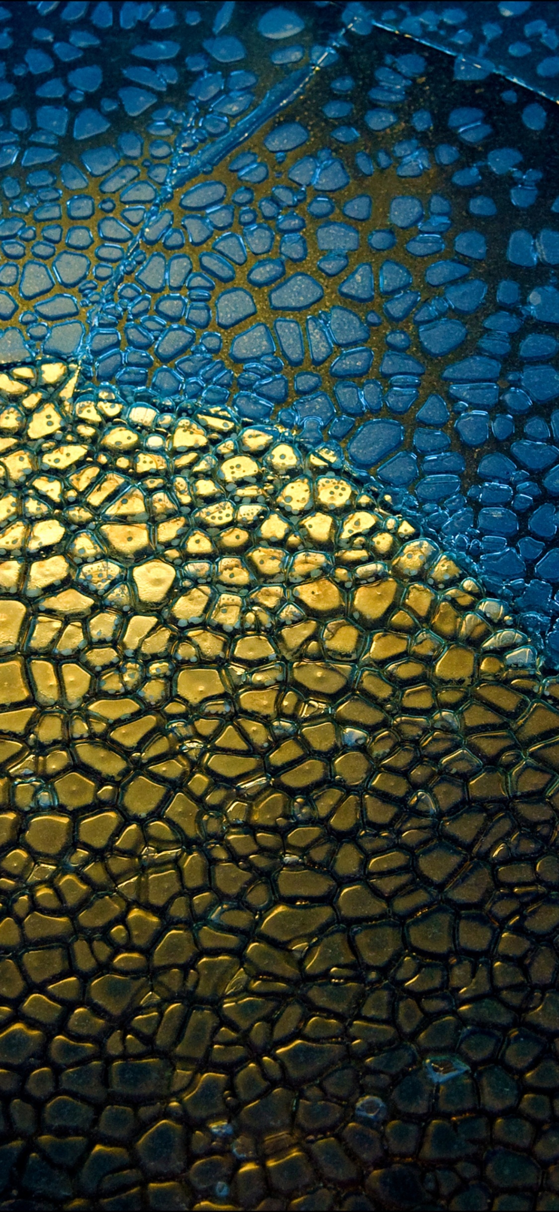 Обои Google Pixel, Пиксель Google 2 ХL, Google Pixel XL, гугл пиксель 4 xl, Google в разрешении 1125x2436