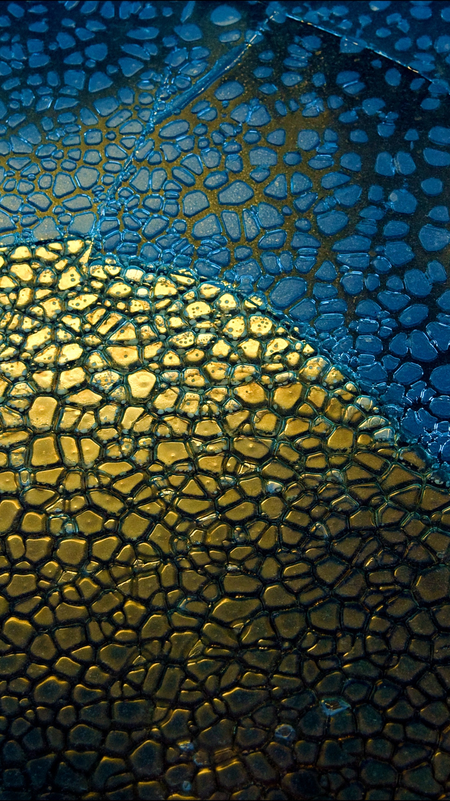 Обои Google Pixel, Пиксель Google 2 ХL, Google Pixel XL, гугл пиксель 4 xl, Google в разрешении 1440x2560