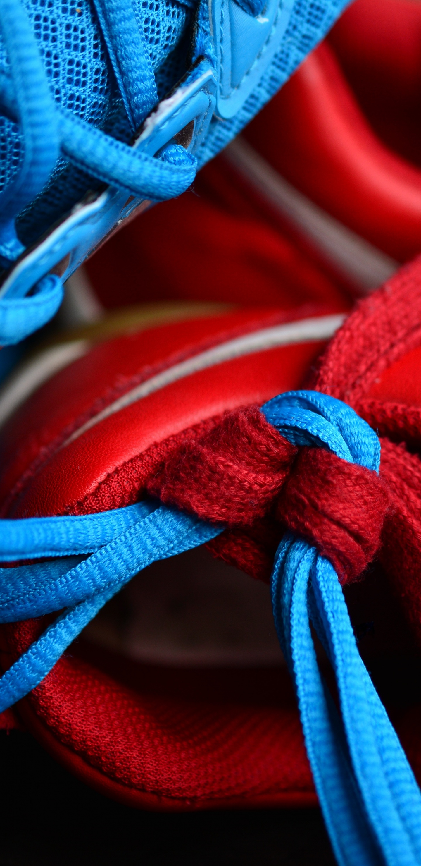 Обои синий, красный цвет, синий кобальт, электрик, обувь в разрешении 1440x2960