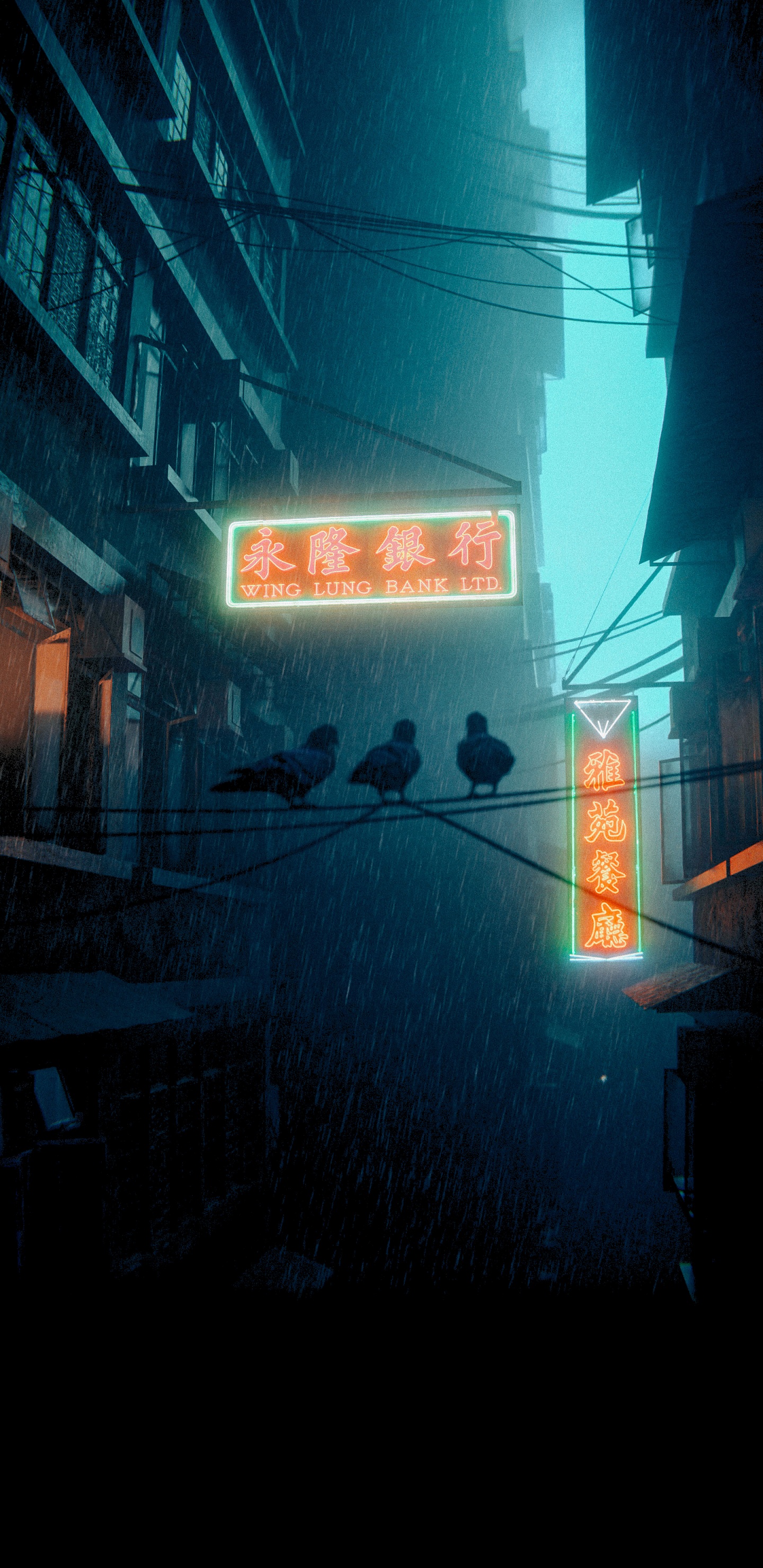 Обои темнота, постер, здание, окно, автомобильное освещение в разрешении 1440x2960