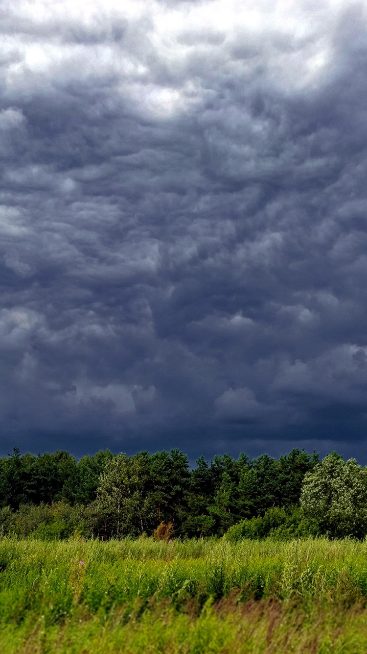 Обои Россия, природа, облако, сенокосное угодье, кучевое облако в разрешении 750x1334