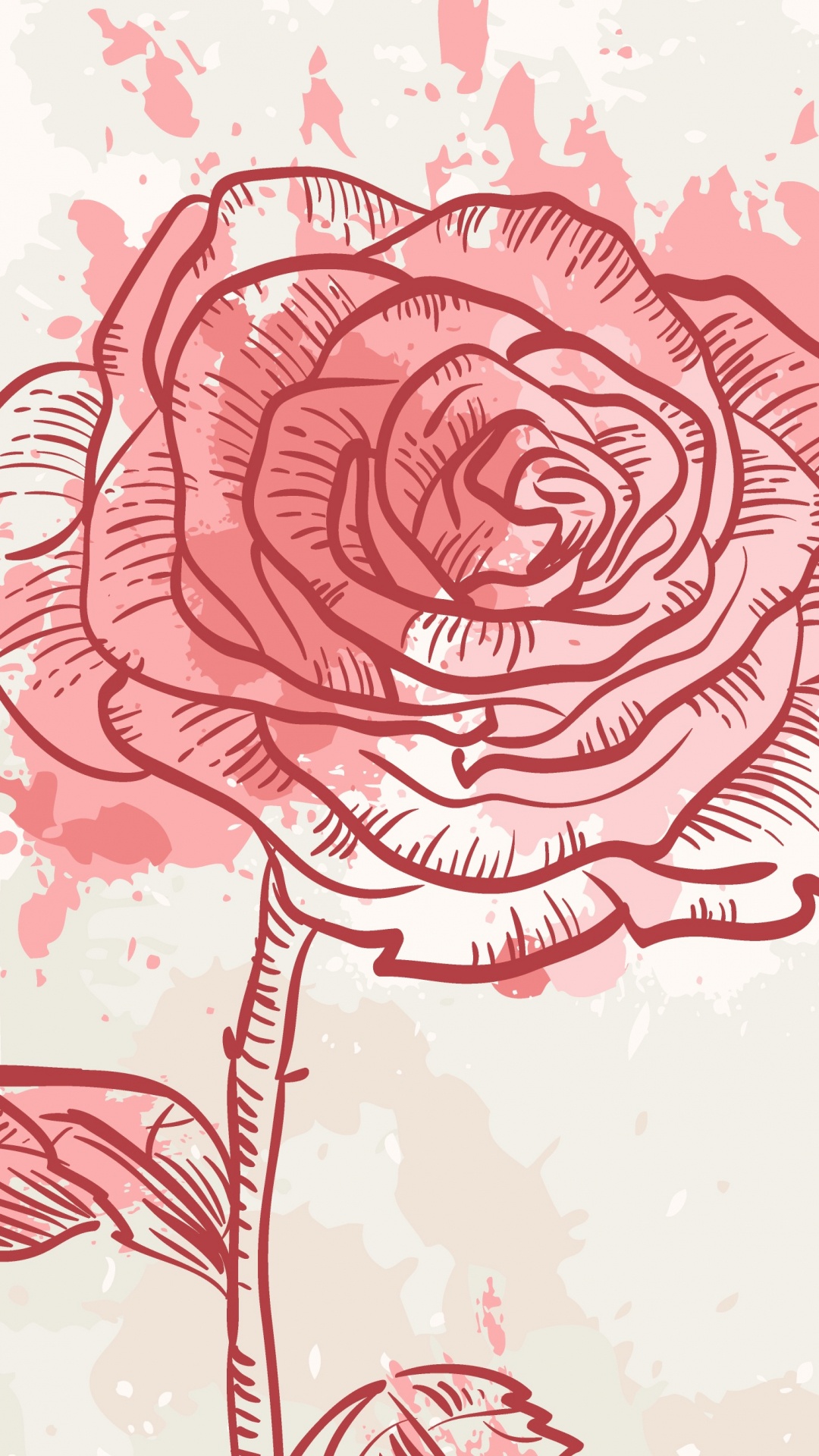Обои цветок, Роза, красный цвет, сад роз, растение в разрешении 1080x1920