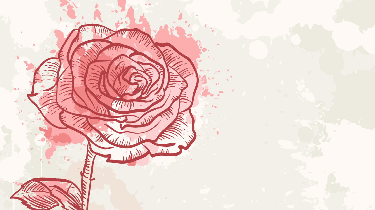 Обои цветок, Роза, красный цвет, сад роз, растение в разрешении 1280x720