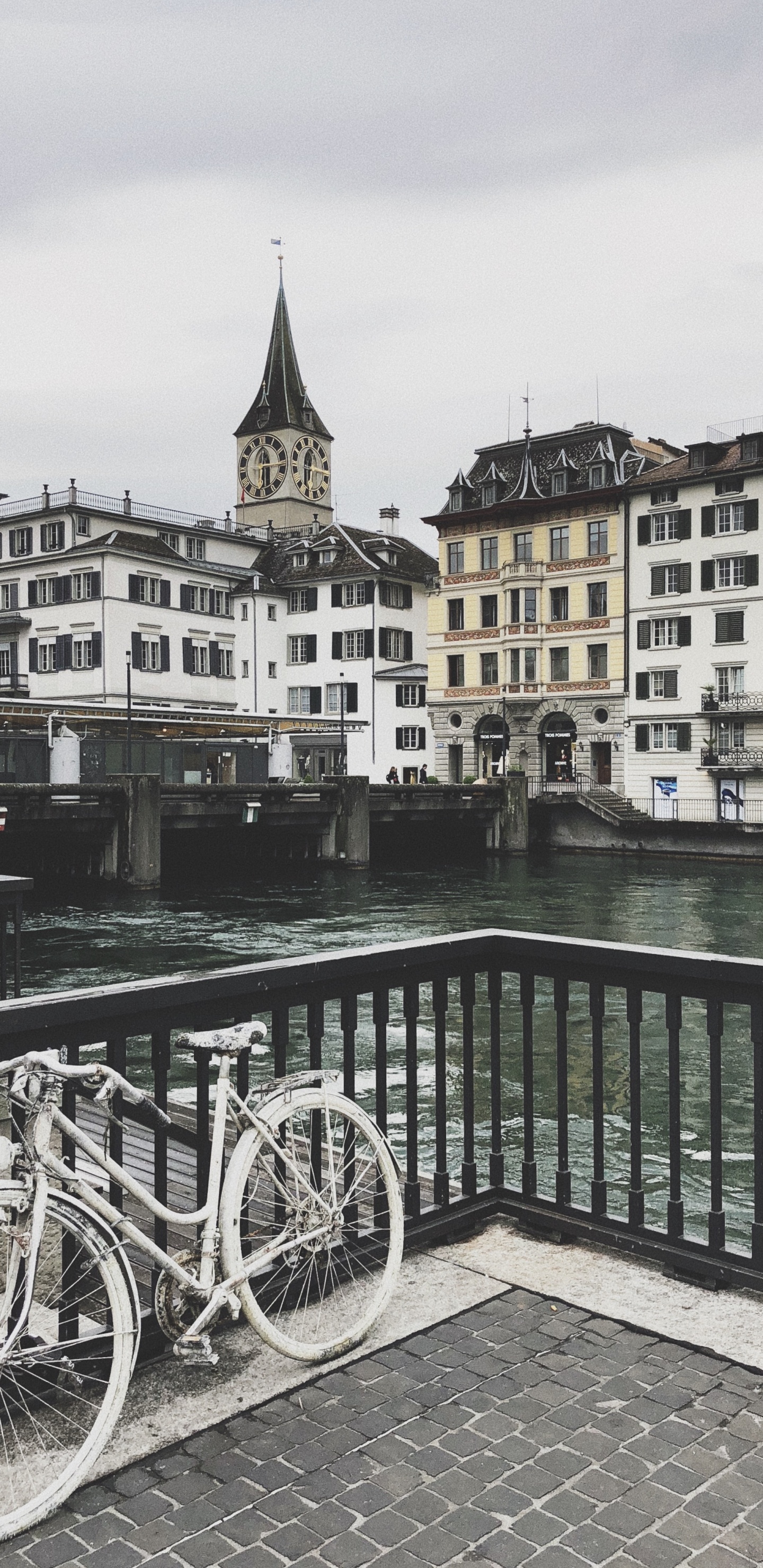 Обои вдоль реки, вода, велосипедное колесо, велосипедная шина, колесо в разрешении 1440x2960