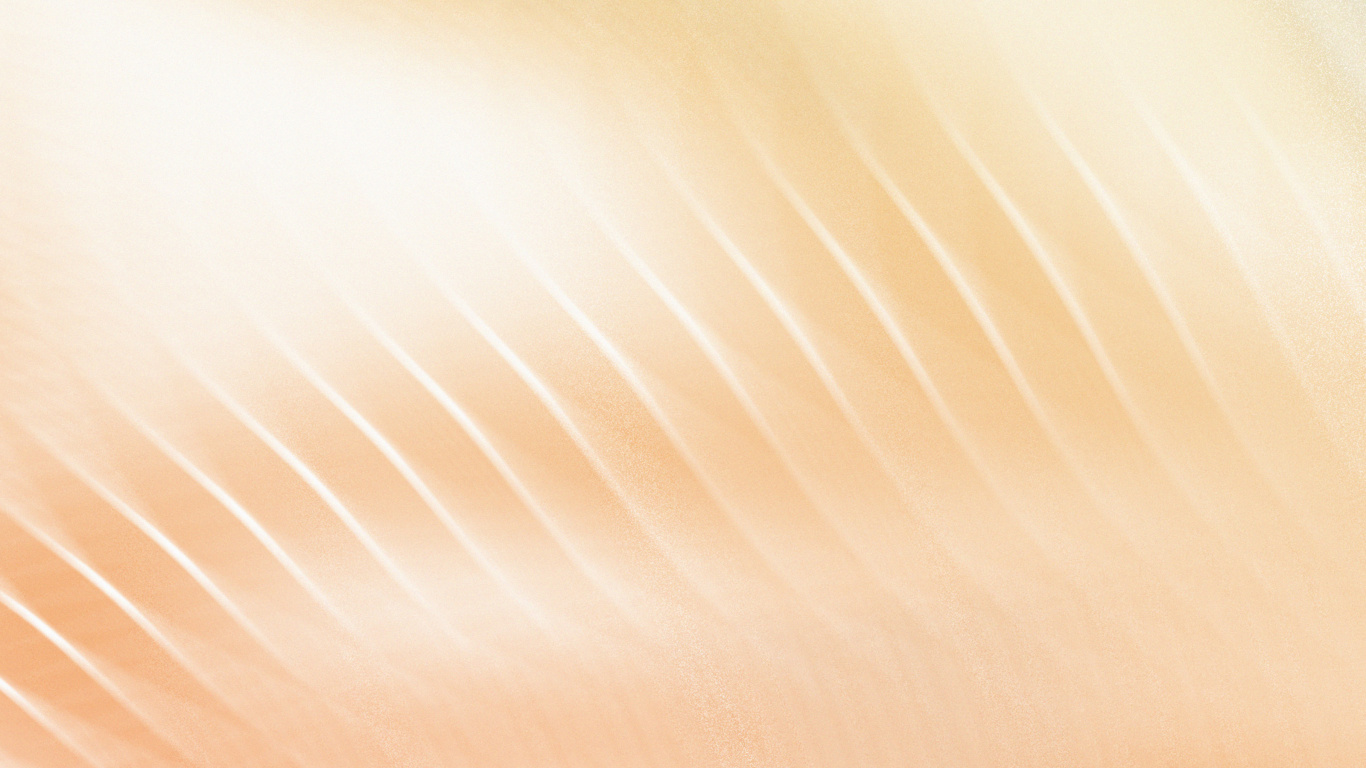 Обои крупный план, свет, цвет беж, линия, солнечный свет в разрешении 1366x768