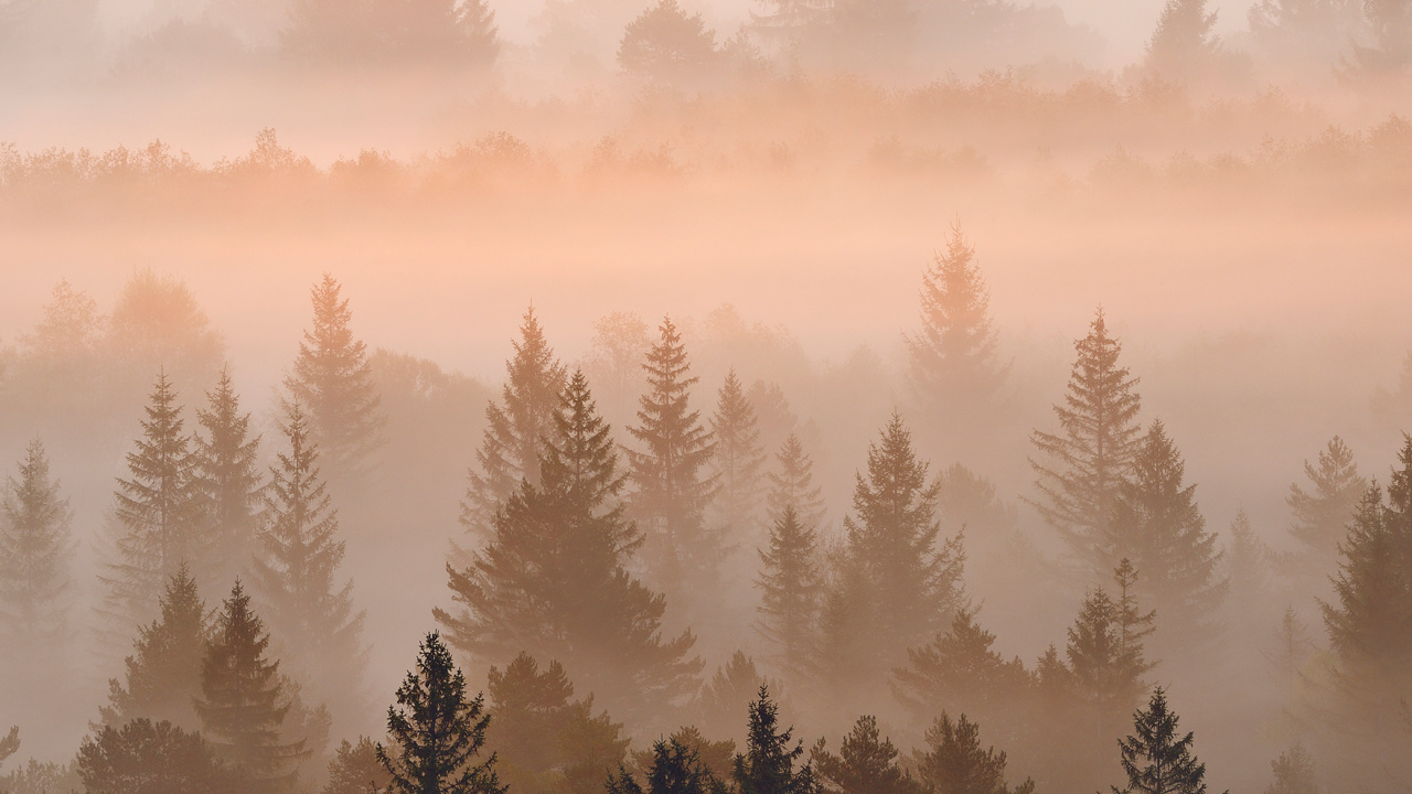 Обои Nokia C31 4 ГБ 64 ГБ 6 7 две SIM-карты, Nokia, нокиа 5300, смартфон, дымка в разрешении 1280x720